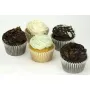Chocolate and Iced Cupcakes