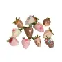 Summer Sensation Strawberries 1