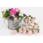 Watering Can and Strawberries