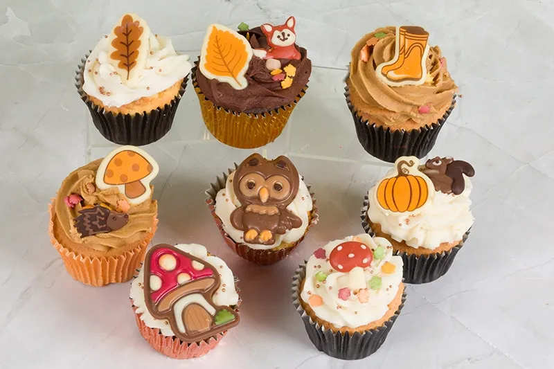 Woodland Cupcakes Gift Box